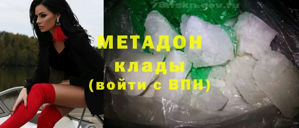 хмурый Аркадак