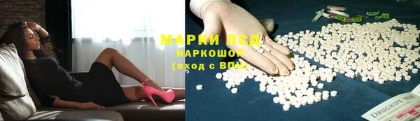 хмурый Аркадак