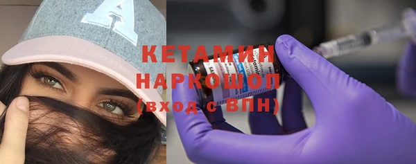 хмурый Аркадак