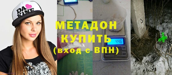 хмурый Аркадак