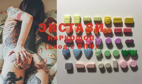 хмурый Аркадак