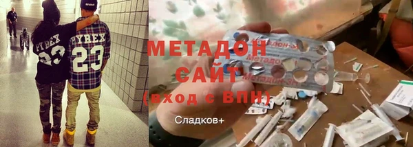 хмурый Аркадак