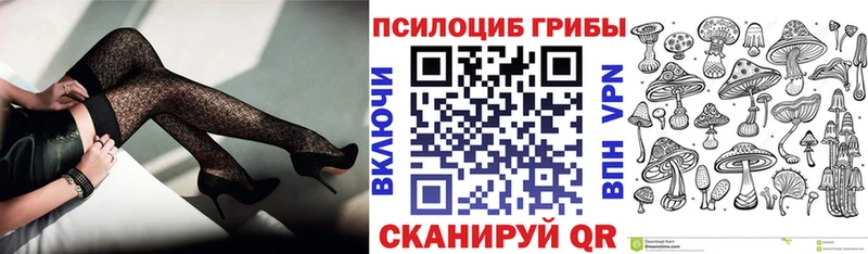 Галлюциногенные грибы MAGIC MUSHROOMS  сайты даркнета телеграм  Северобайкальск  хочу наркоту 